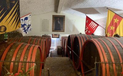 Een historisch wijnhuis in Montalcino | Fattoria dei Barbi